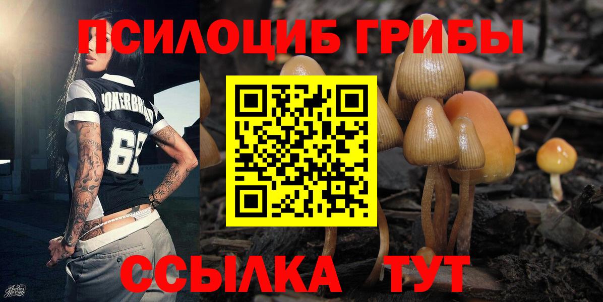 Псилоцибиновые грибы прущие грибы  где купить   Верхний Уфалей  Вход с VPN 